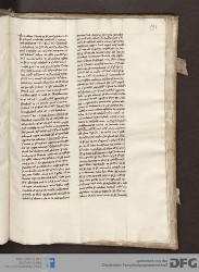 Blatt 196r