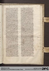 Blatt 137r