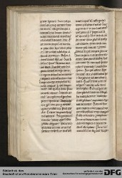 Blatt 146v