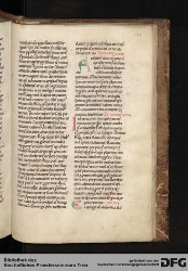 Blatt 161r