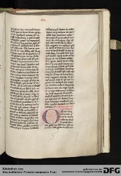 Blatt 141r