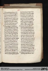 Blatt 142r