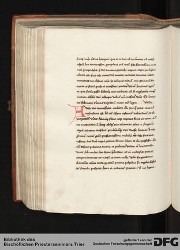 Blatt 219v