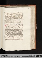 Blatt 251r