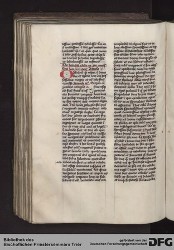 Blatt 117v