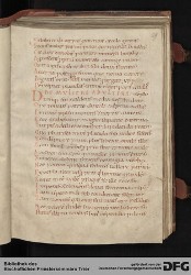 Blatt 29r