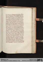 Blatt 213r