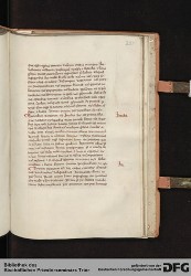 Blatt 228r