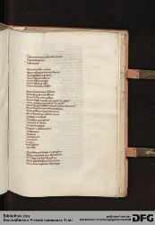 Blatt 241r