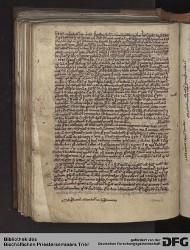 Blatt 146v