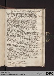 Blatt 221r