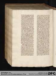 Blatt 384v