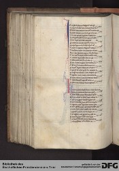 Blatt 175v