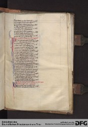 Blatt 238r