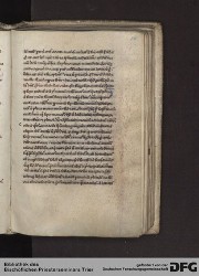 Blatt 141r