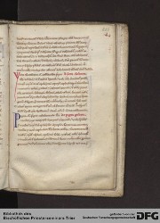 Blatt 203r