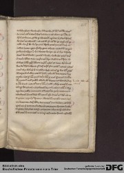 Blatt 215r