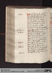 Blatt 105v