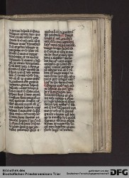 Blatt 113r