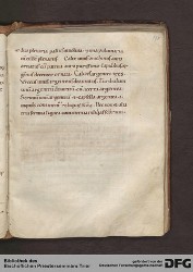 Blatt 175r