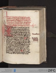 Blatt 145r