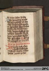 Blatt 228r