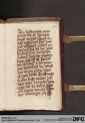 Blatt 393r