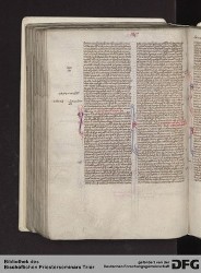 Blatt 155v