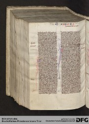 Blatt 446v