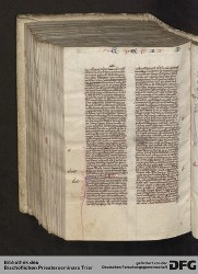 Blatt 447v