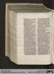 Blatt 484v