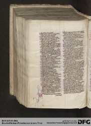 Blatt 494v