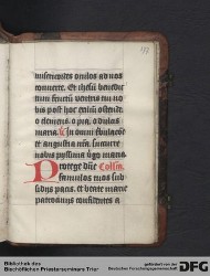 Blatt 177r