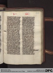 Blatt 251r