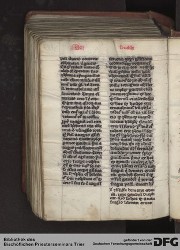 Blatt 307v