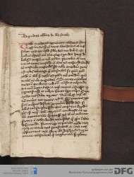 Blatt 296r