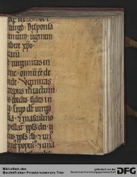 Vorblatt IIr mit Fragment