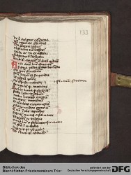 Blatt 133r