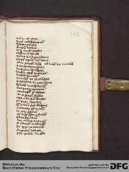 Blatt 203r