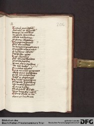 Blatt 207r