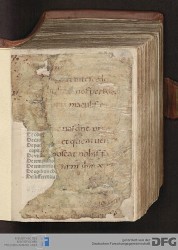 Vorblatt IIr mit Fragment