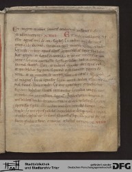 Blatt 19r