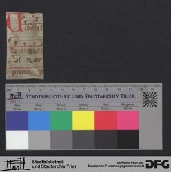 Herausgetrenntes Fragment mit Neumen