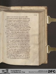 Blatt 307r