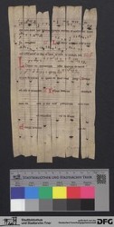 Herausgetrenntes Fragment 2v