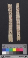 Herausgetrenntes Fragment 5r