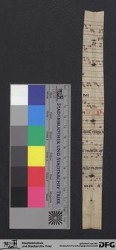 Herausgetrenntes Fragment 8r