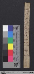 Herausgetrenntes Fragment 21r