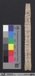 Herausgetrenntes Fragment 25v