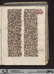 Blatt 19r